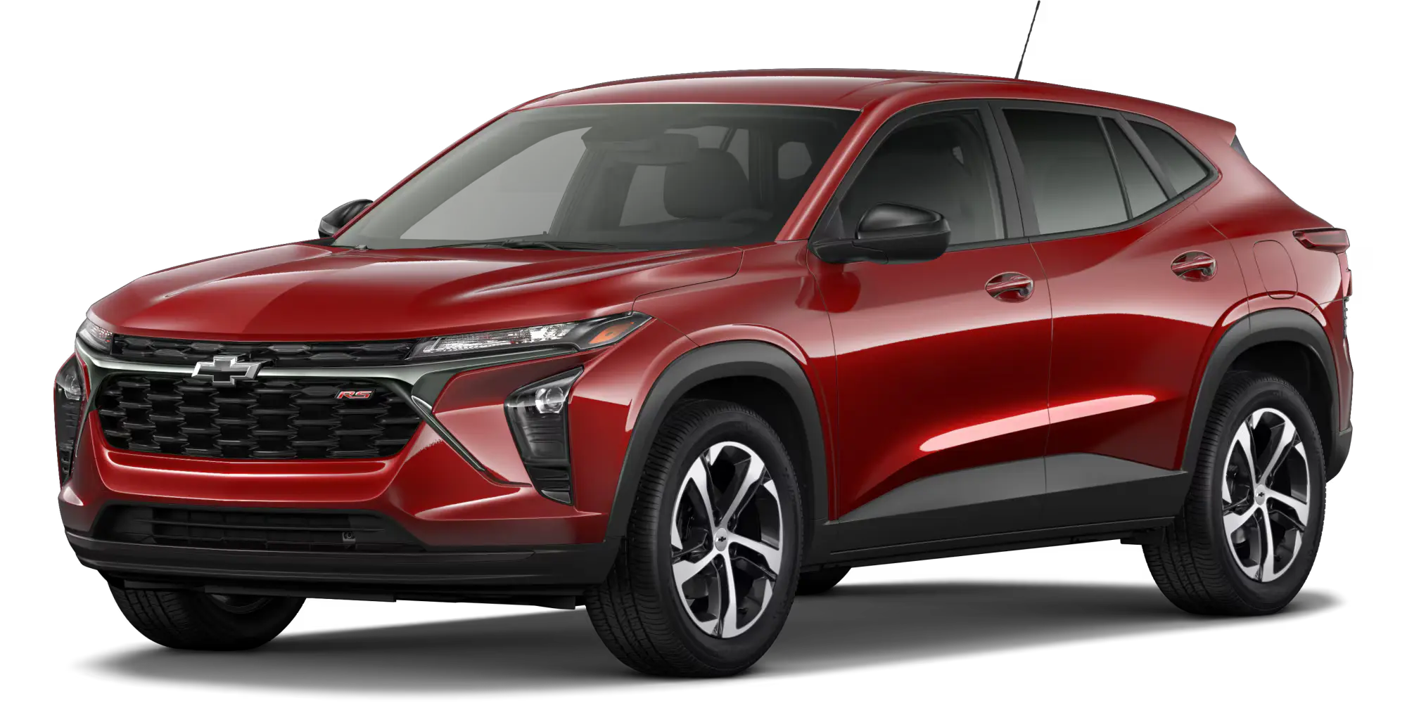 Premier: The Polished Professional Premier: The Polished Professional